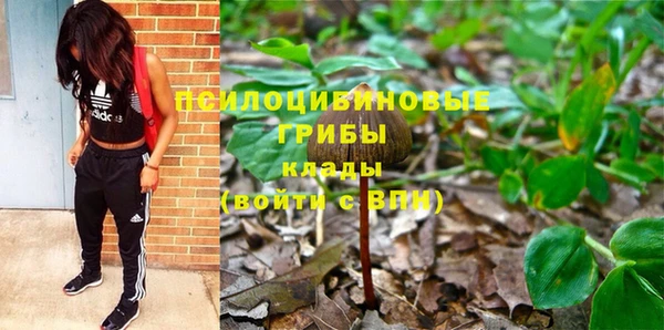 каннабис Волоколамск