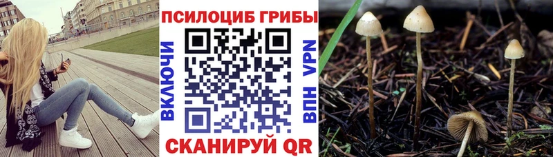 Псилоцибиновые грибы ЛСД  Нефтекамск 